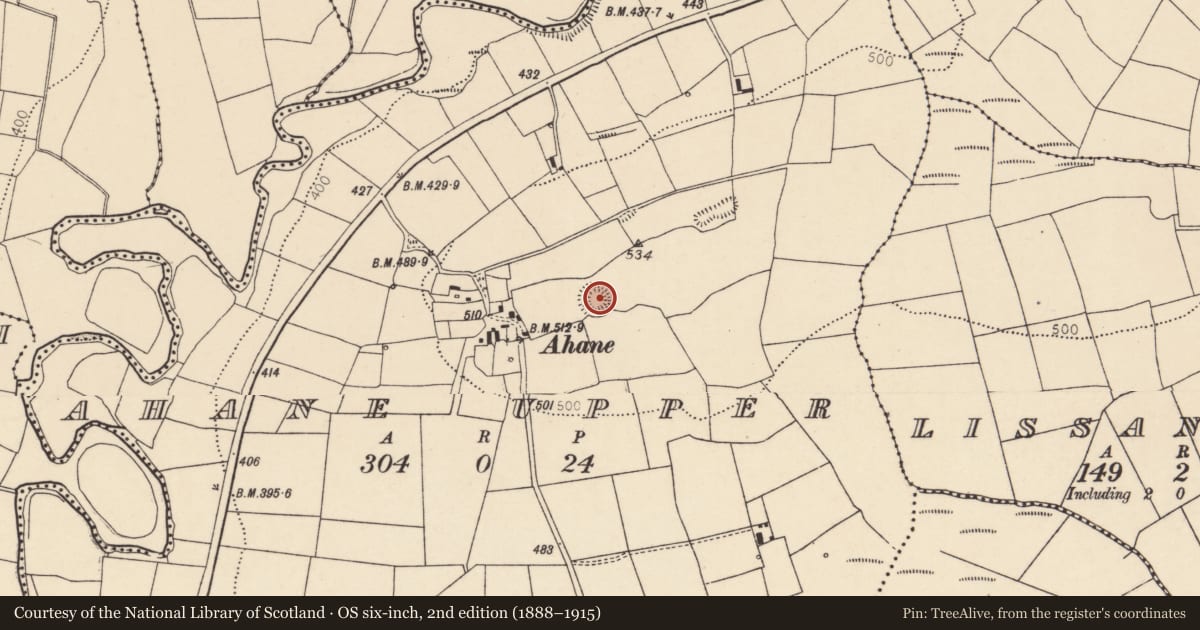Ordnance Survey six-inch map, 2nd edition (1888–1915) covering the location of Ringfort - rath, Ahane Upper, County Cork, with a pin at the register's coordinates