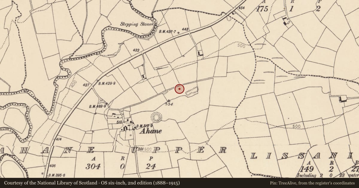 Ordnance Survey six-inch map, 2nd edition (1888–1915) covering the location of Souterrain, Ahane Upper, County Cork, with a pin at the register's coordinates