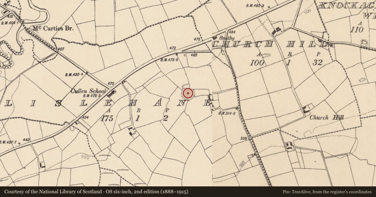 Ordnance Survey six-inch map, 2nd edition (1888–1915) covering the location of Ringfort - rath, Lislehane, County Cork, with a pin at the register's coordinates