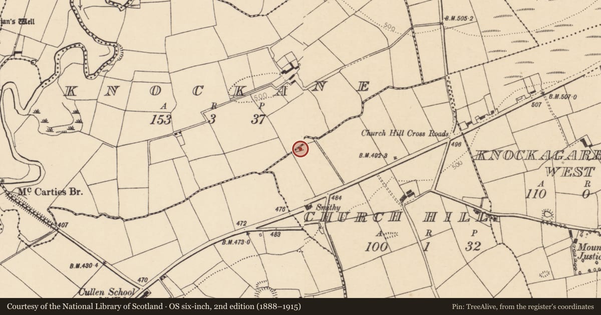 Ordnance Survey six-inch map, 2nd edition (1888–1915) covering the location of Fulacht fia, Church Hill, County Cork, with a pin at the register's coordinates
