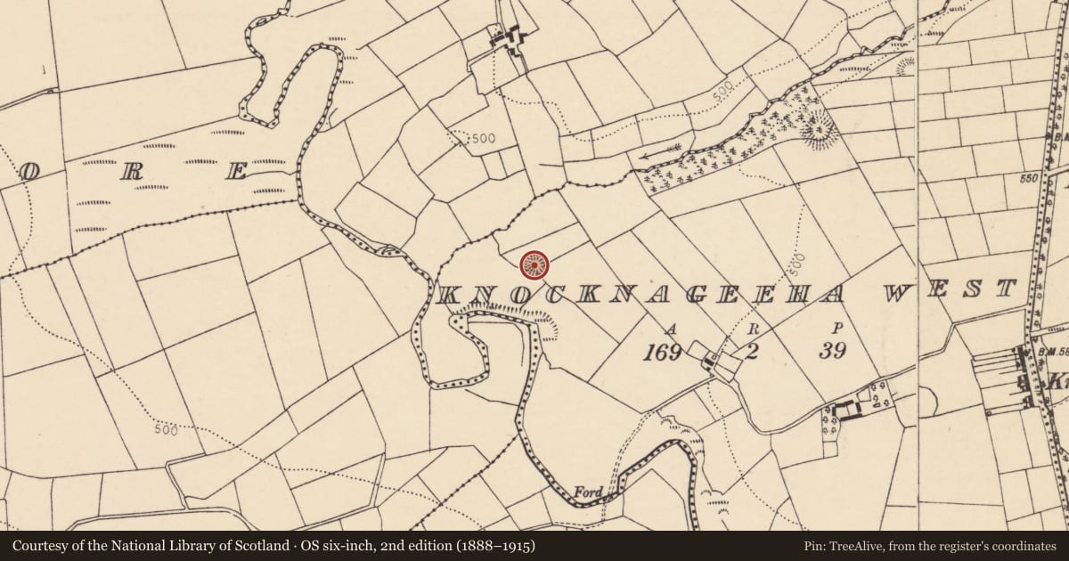 Ordnance Survey six-inch map, 2nd edition (1888–1915) covering the location of Ringfort - rath, Knocknageeha West, County Cork, with a pin at the register's coordinates