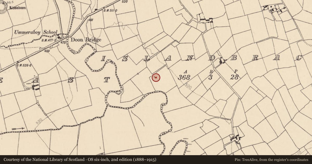 Ordnance Survey six-inch map, 2nd edition (1888–1915) covering the location of Kiln - lime, Islandbrack, County Cork, with a pin at the register's coordinates