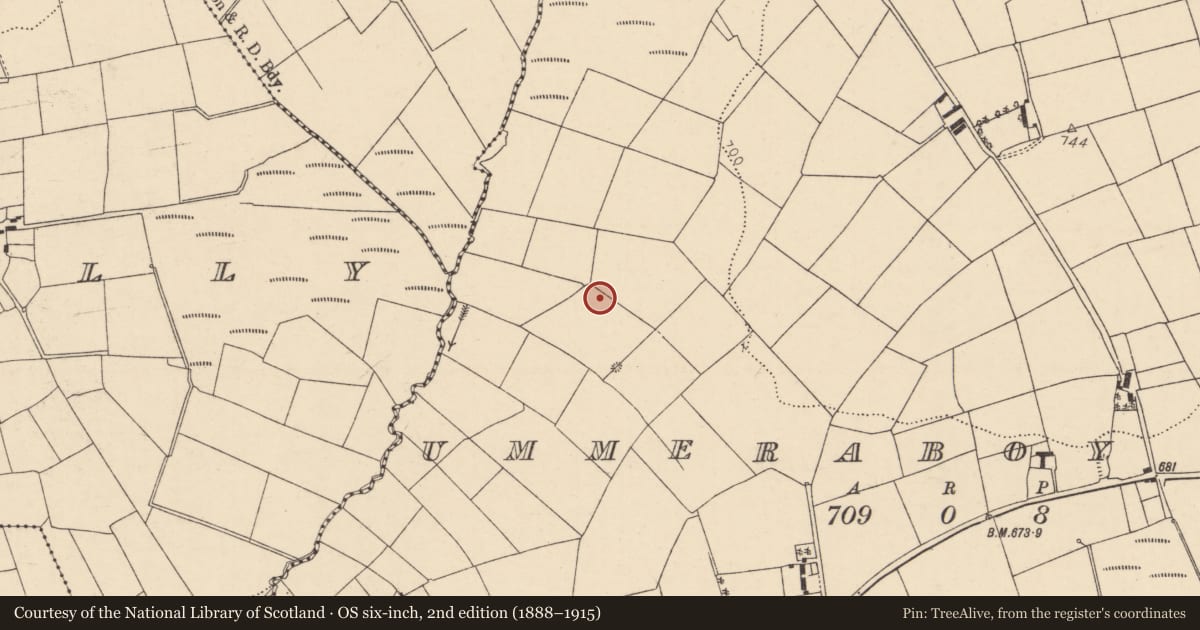 Ordnance Survey six-inch map, 2nd edition (1888–1915) covering the location of Fulacht fia, Ummeraboy West, County Cork, with a pin at the register's coordinates