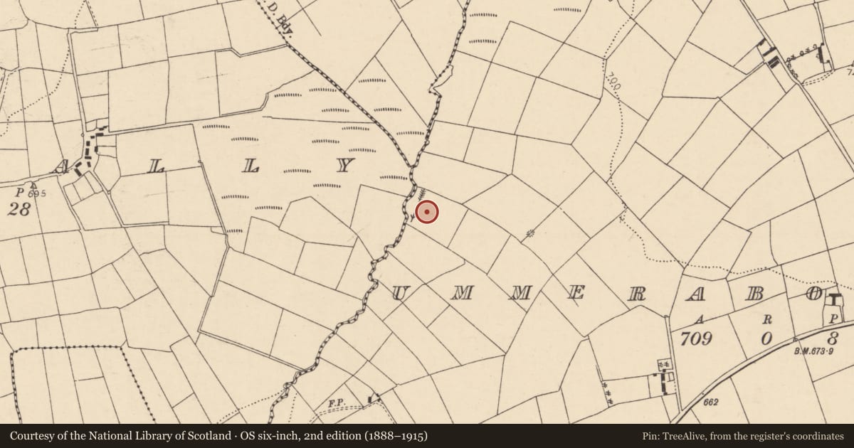Ordnance Survey six-inch map, 2nd edition (1888–1915) covering the location of Fulacht fia, Ummeraboy West, County Cork, with a pin at the register's coordinates