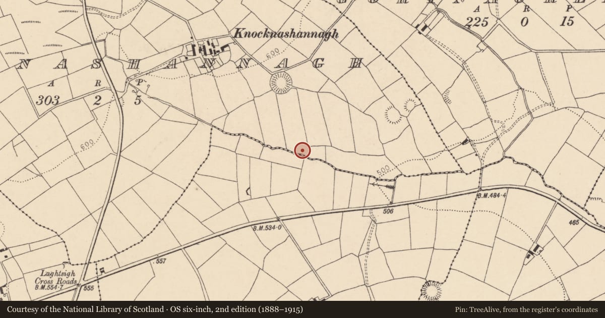 Ordnance Survey six-inch map, 2nd edition (1888–1915) covering the location of Fulacht fia, Knocknashannagh, County Cork, with a pin at the register's coordinates