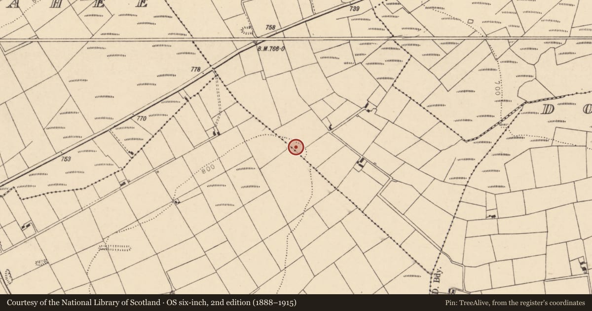 Ordnance Survey six-inch map, 2nd edition (1888–1915) covering the location of Standing stone, Tooreenclassagh, County Cork, with a pin at the register's coordinates
