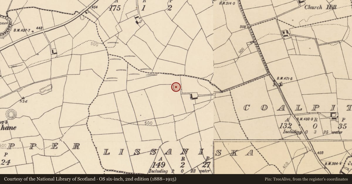Ordnance Survey six-inch map, 2nd edition (1888–1915) covering the location of Ringfort - rath, Lissaniska, County Cork, with a pin at the register's coordinates