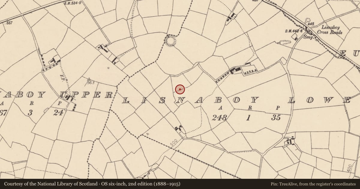 Ordnance Survey six-inch map, 2nd edition (1888–1915) covering the location of Fulacht fia, Lisnaboy Lower, County Cork, with a pin at the register's coordinates