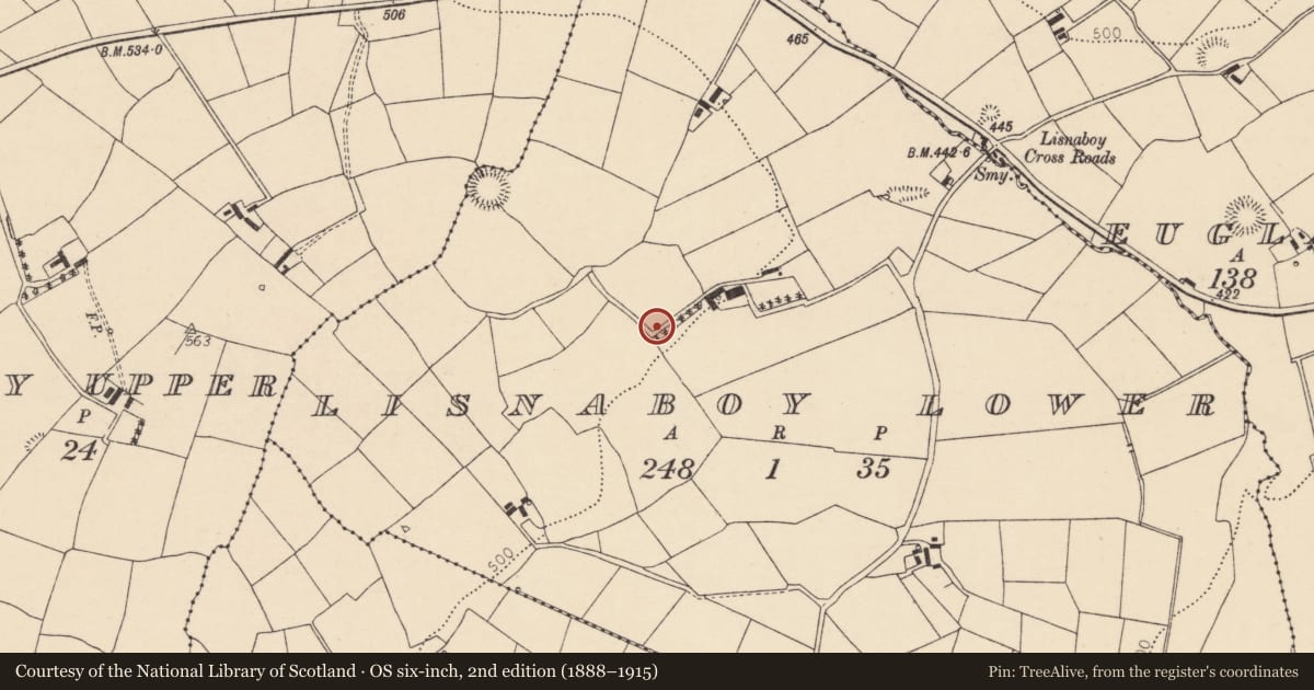 Ordnance Survey six-inch map, 2nd edition (1888–1915) covering the location of Ringfort - rath, Lisnaboy Lower, County Cork, with a pin at the register's coordinates