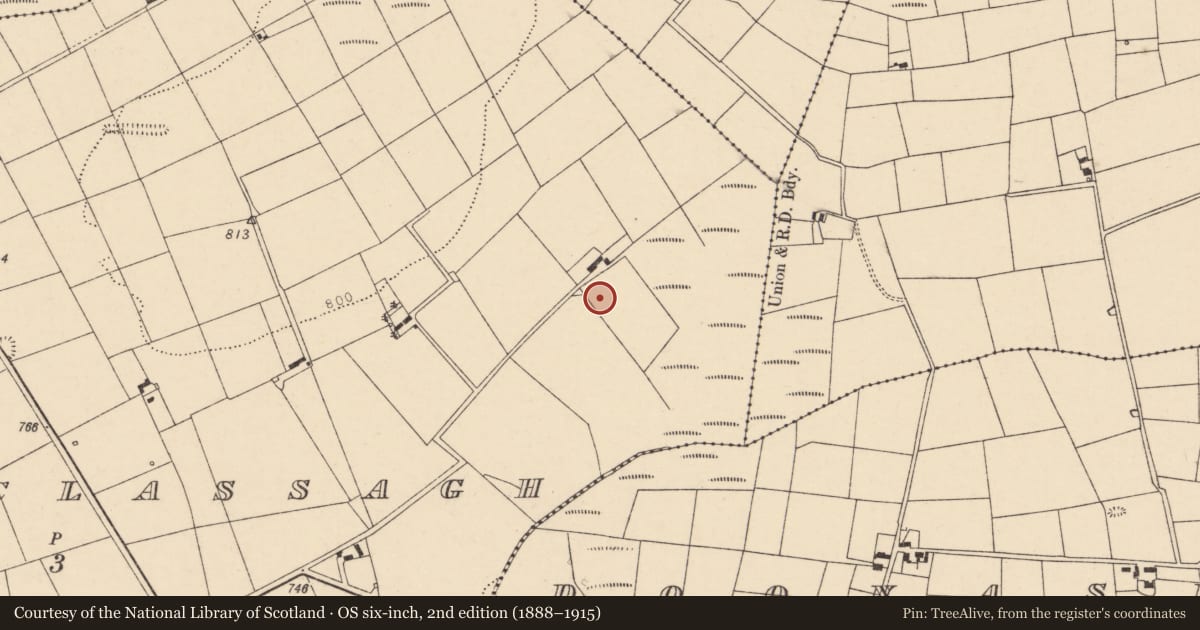 Ordnance Survey six-inch map, 2nd edition (1888–1915) covering the location of Kiln - lime, Tooreenclassagh, County Cork, with a pin at the register's coordinates
