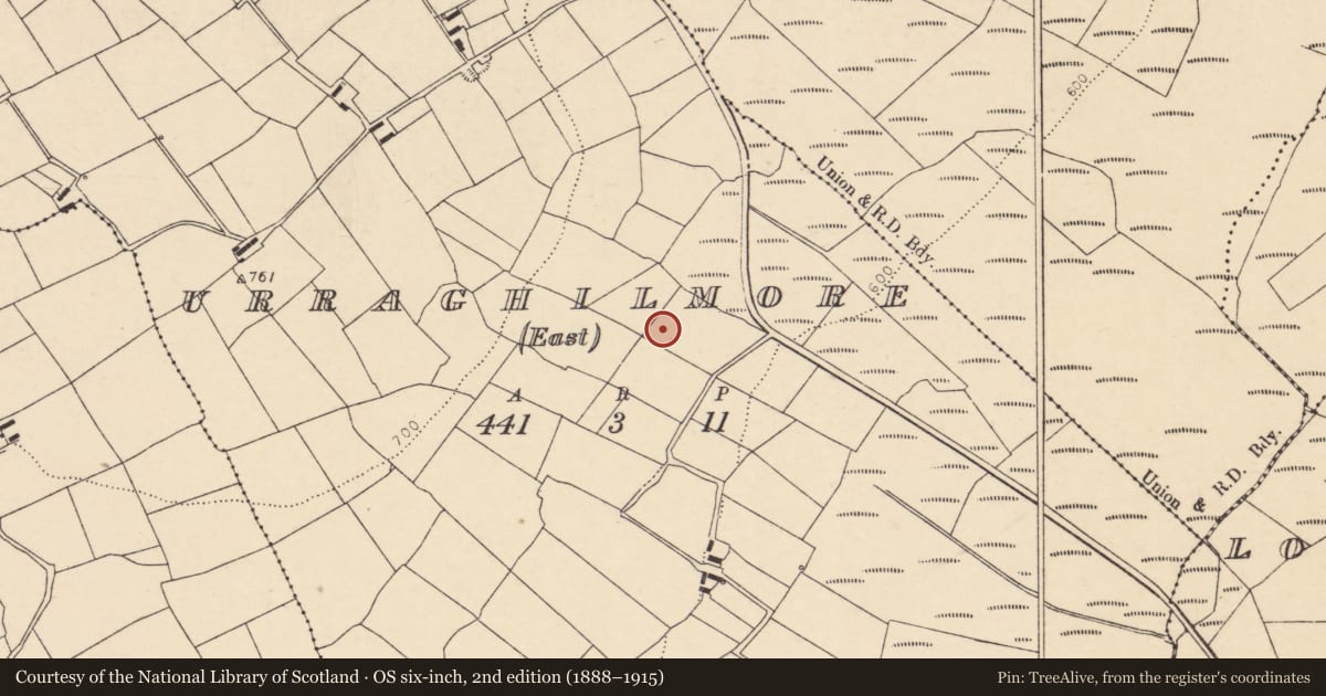 Ordnance Survey six-inch map, 2nd edition (1888–1915) covering the location of Fulacht fia, Urraghilmore (East), County Cork, with a pin at the register's coordinates