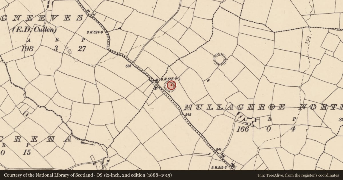 Ordnance Survey six-inch map, 2nd edition (1888–1915) covering the location of Souterrain, Mullaghroe North, County Cork, with a pin at the register's coordinates