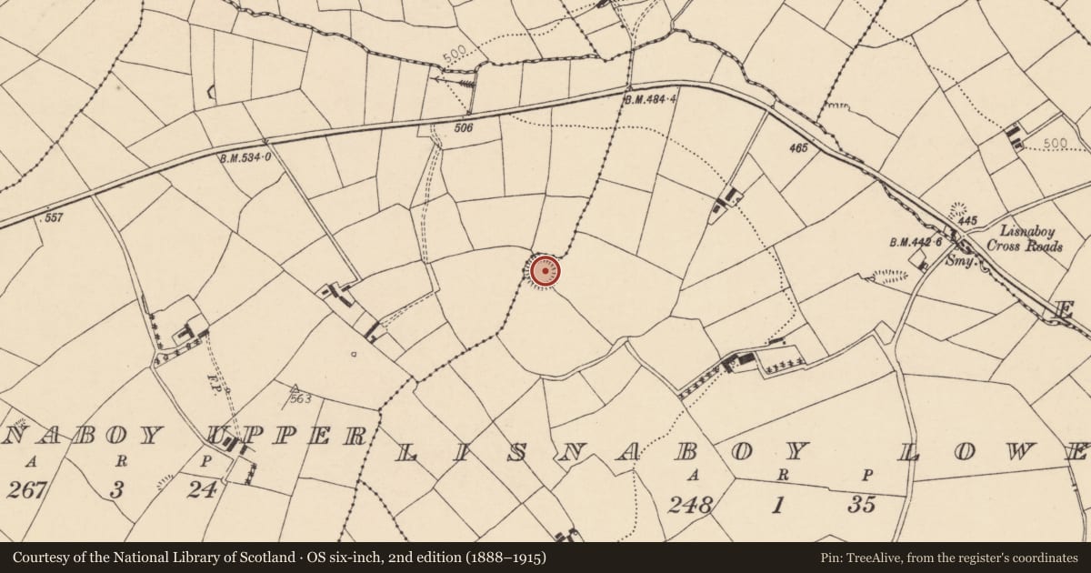 Ordnance Survey six-inch map, 2nd edition (1888–1915) covering the location of Souterrain, Lisnaboy Lower, County Cork, with a pin at the register's coordinates