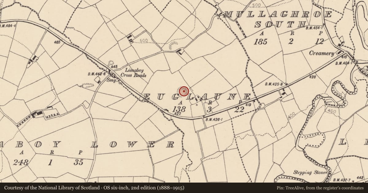 Ordnance Survey six-inch map, 2nd edition (1888–1915) covering the location of Souterrain, Euglaune, County Cork, with a pin at the register's coordinates