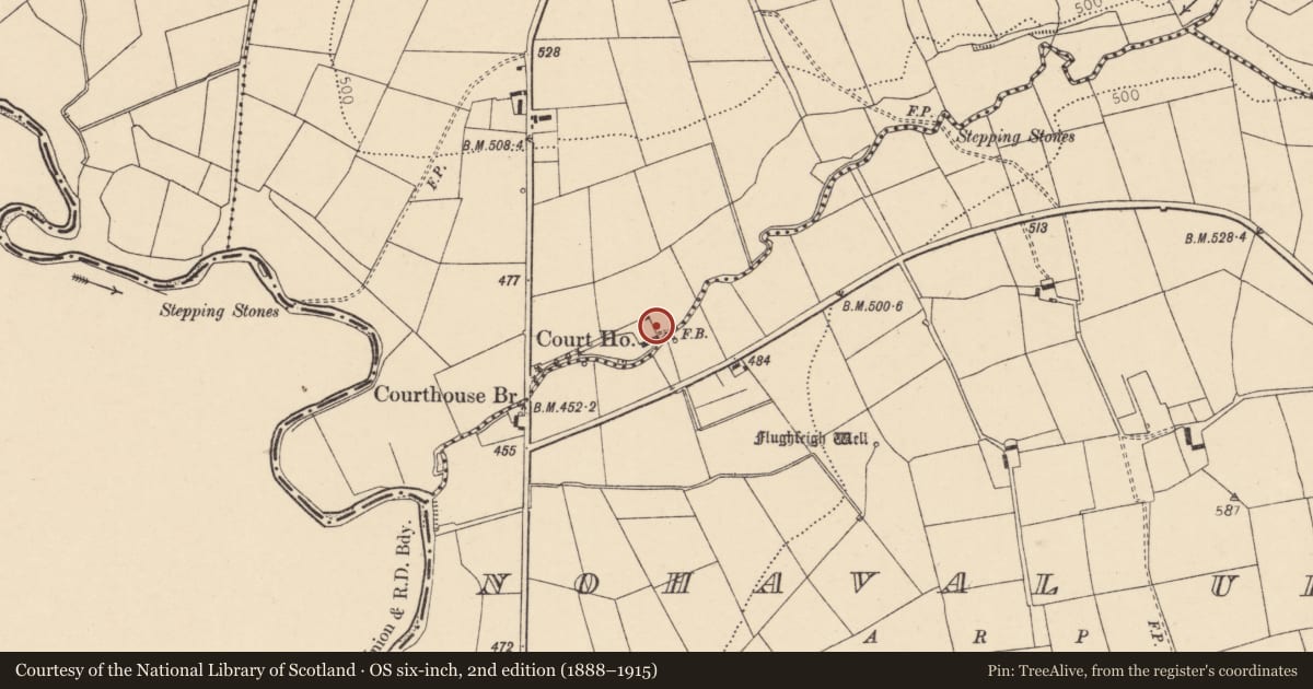 Ordnance Survey six-inch map, 2nd edition (1888–1915) covering the location of Kiln - lime, Knocknagree, County Cork, with a pin at the register's coordinates