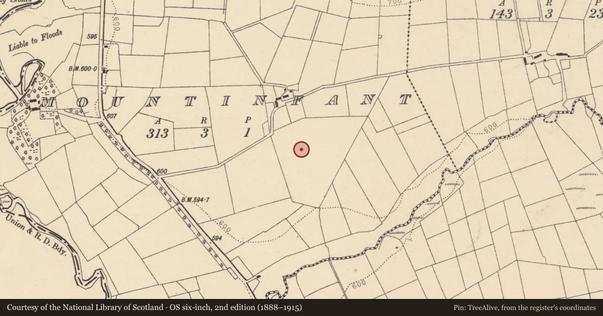 Ordnance Survey six-inch map, 2nd edition (1888–1915) covering the location of Kiln - lime, Mountinfant, County Cork, with a pin at the register's coordinates