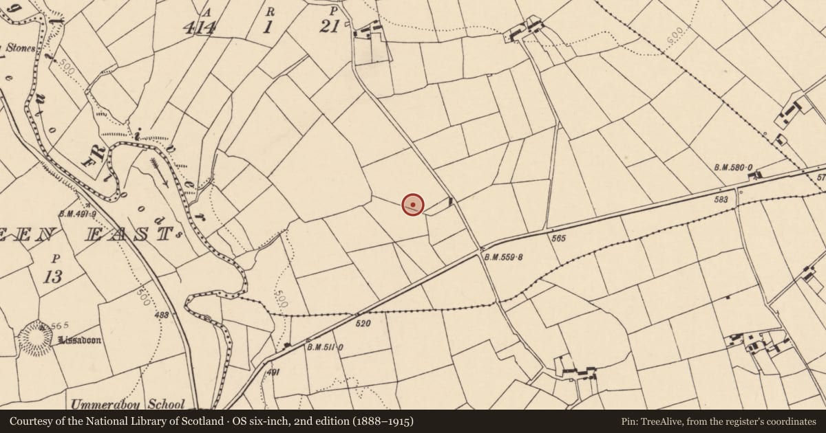 Ordnance Survey six-inch map, 2nd edition (1888–1915) covering the location of Kiln - lime, Urraghilmore (West), County Cork, with a pin at the register's coordinates