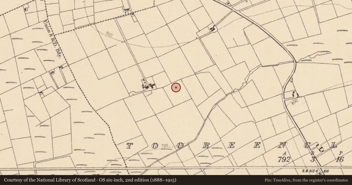 Ordnance Survey six-inch map, 2nd edition (1888–1915) covering the location of Kiln - lime, Tooreenglanahee, County Cork, with a pin at the register's coordinates