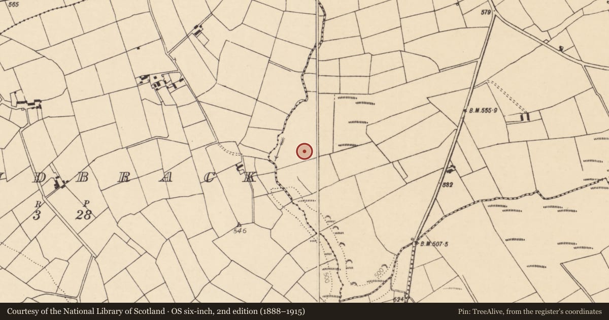 Ordnance Survey six-inch map, 2nd edition (1888–1915) covering the location of Burnt mound, Loumanagh South, County Cork, with a pin at the register's coordinates