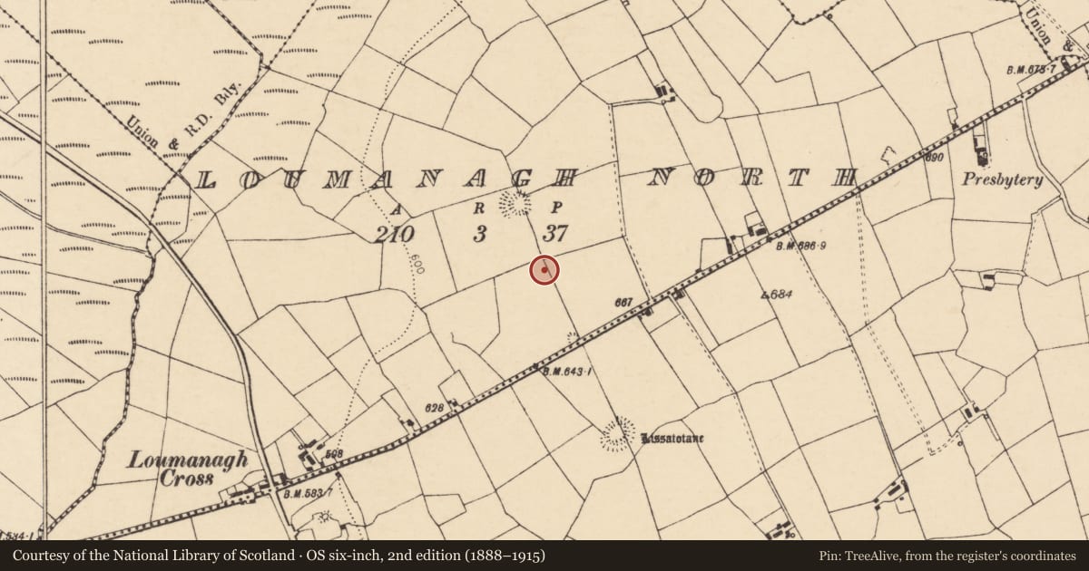 Ordnance Survey six-inch map, 2nd edition (1888–1915) covering the location of Enclosure, Loumanagh North, County Cork, with a pin at the register's coordinates