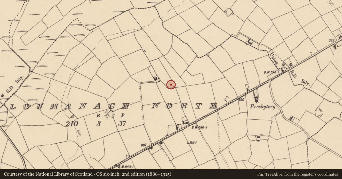 Ordnance Survey six-inch map, 2nd edition (1888–1915) covering the location of Ringfort - rath, Loumanagh North, County Cork, with a pin at the register's coordinates