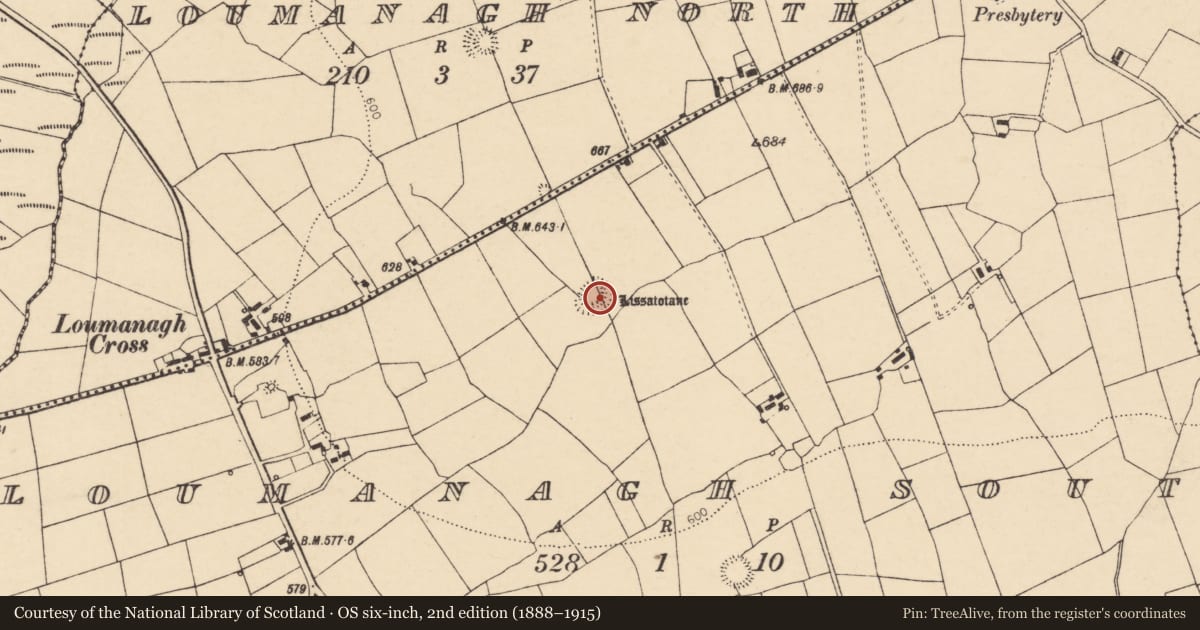 Ordnance Survey six-inch map, 2nd edition (1888–1915) covering the location of Ringfort - rath, Loumanagh South, County Cork, with a pin at the register's coordinates