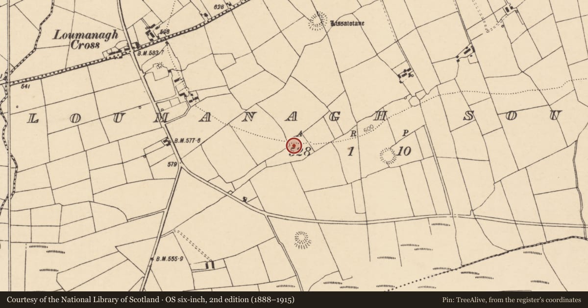 Ordnance Survey six-inch map, 2nd edition (1888–1915) covering the location of Ringfort - rath, Loumanagh South, County Cork, with a pin at the register's coordinates