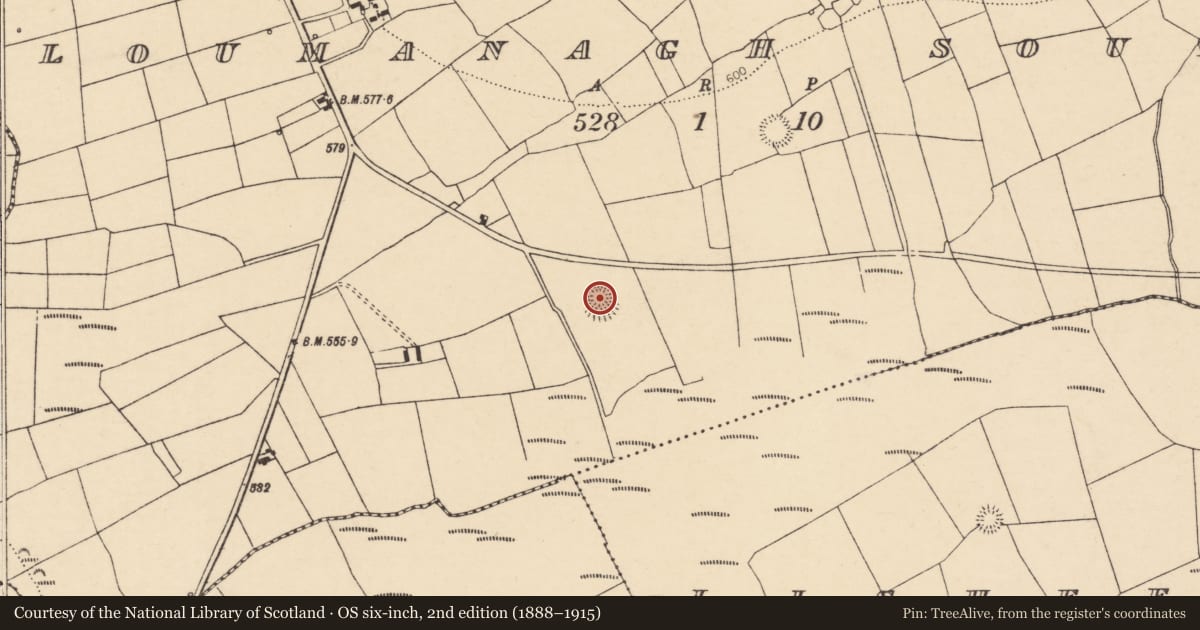 Ordnance Survey six-inch map, 2nd edition (1888–1915) covering the location of Ringfort - rath, Loumanagh South, County Cork, with a pin at the register's coordinates