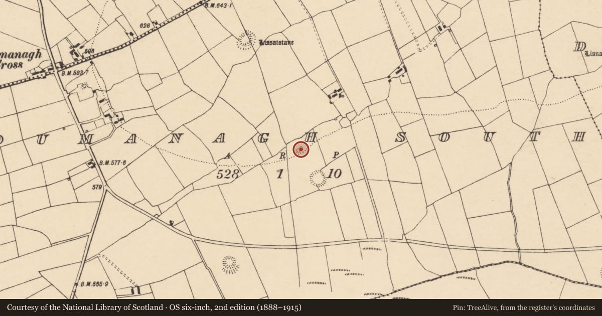 Ordnance Survey six-inch map, 2nd edition (1888–1915) covering the location of Burial ground, Loumanagh South, County Cork, with a pin at the register's coordinates