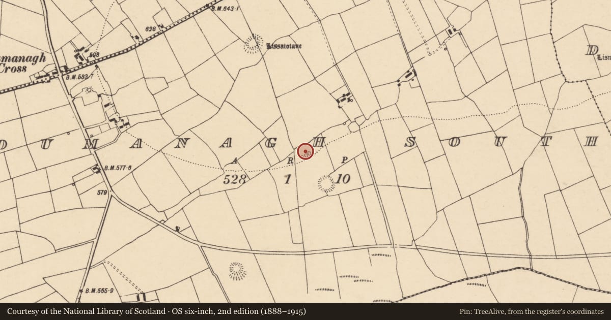 Ordnance Survey six-inch map, 2nd edition (1888–1915) covering the location of Church, Loumanagh South, County Cork, with a pin at the register's coordinates