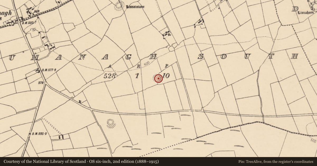 Ordnance Survey six-inch map, 2nd edition (1888–1915) covering the location of Ringfort - rath, Loumanagh South, County Cork, with a pin at the register's coordinates