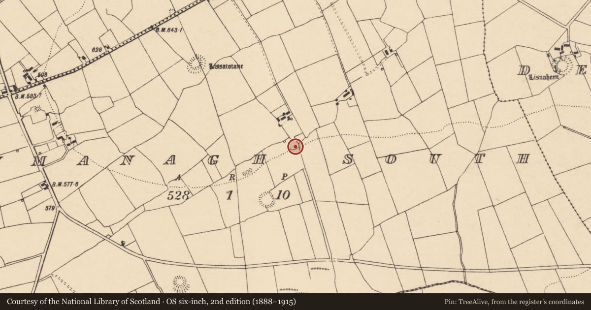 Ordnance Survey six-inch map, 2nd edition (1888–1915) covering the location of Ringfort - rath, Loumanagh South, County Cork, with a pin at the register's coordinates