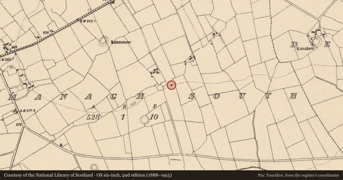 Ordnance Survey six-inch map, 2nd edition (1888–1915) covering the location of Fulacht fia, Loumanagh South, County Cork, with a pin at the register's coordinates