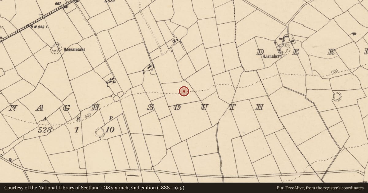 Ordnance Survey six-inch map, 2nd edition (1888–1915) covering the location of Ringfort - rath, Loumanagh South, County Cork, with a pin at the register's coordinates