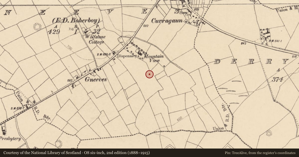 Ordnance Survey six-inch map, 2nd edition (1888–1915) covering the location of Fulacht fia, Gneeves (Duhallow By., Kilmeen Par.), County Cork, with a pin at the register's coordinates