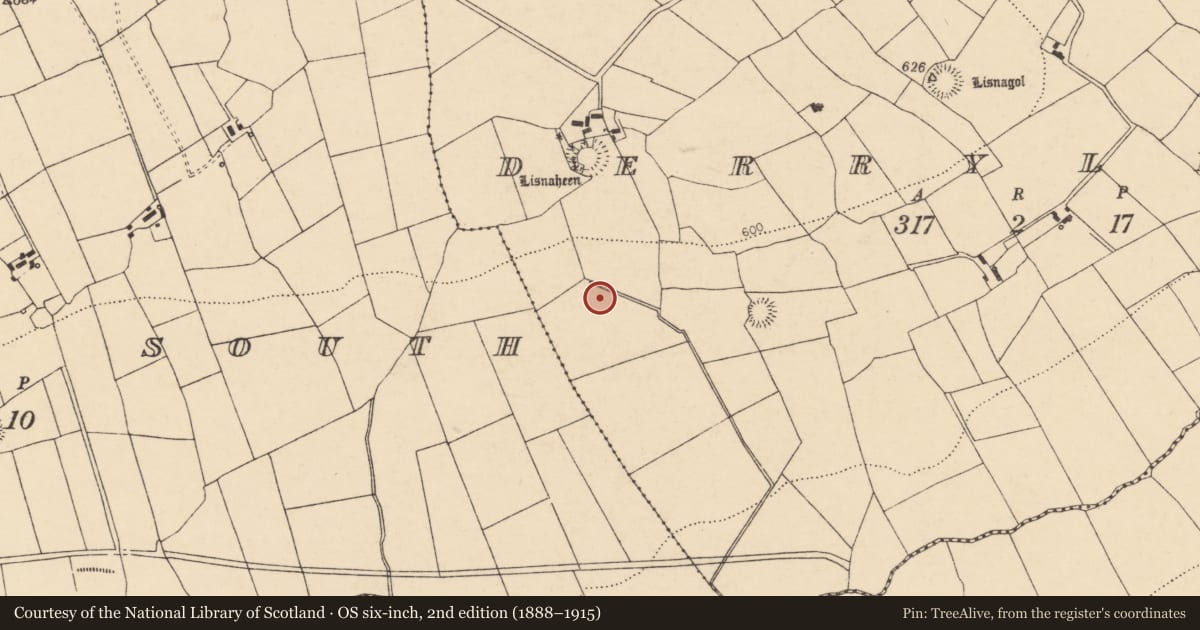 Ordnance Survey six-inch map, 2nd edition (1888–1915) covering the location of Fulacht fia, Derryleagh, County Cork, with a pin at the register's coordinates