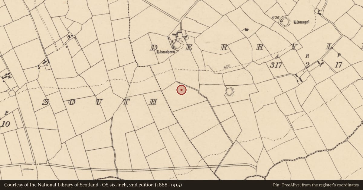 Ordnance Survey six-inch map, 2nd edition (1888–1915) covering the location of Fulacht fia, Derryleagh, County Cork, with a pin at the register's coordinates