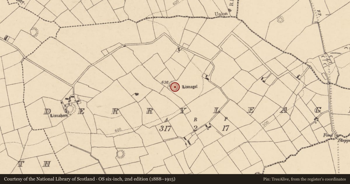 Ordnance Survey six-inch map, 2nd edition (1888–1915) covering the location of Ringfort - rath, Derryleagh, County Cork, with a pin at the register's coordinates