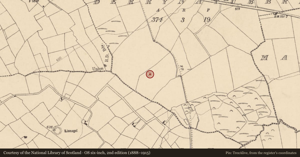 Ordnance Survey six-inch map, 2nd edition (1888–1915) covering the location of Ringfort - rath, Derrynatubbrid, County Cork, with a pin at the register's coordinates