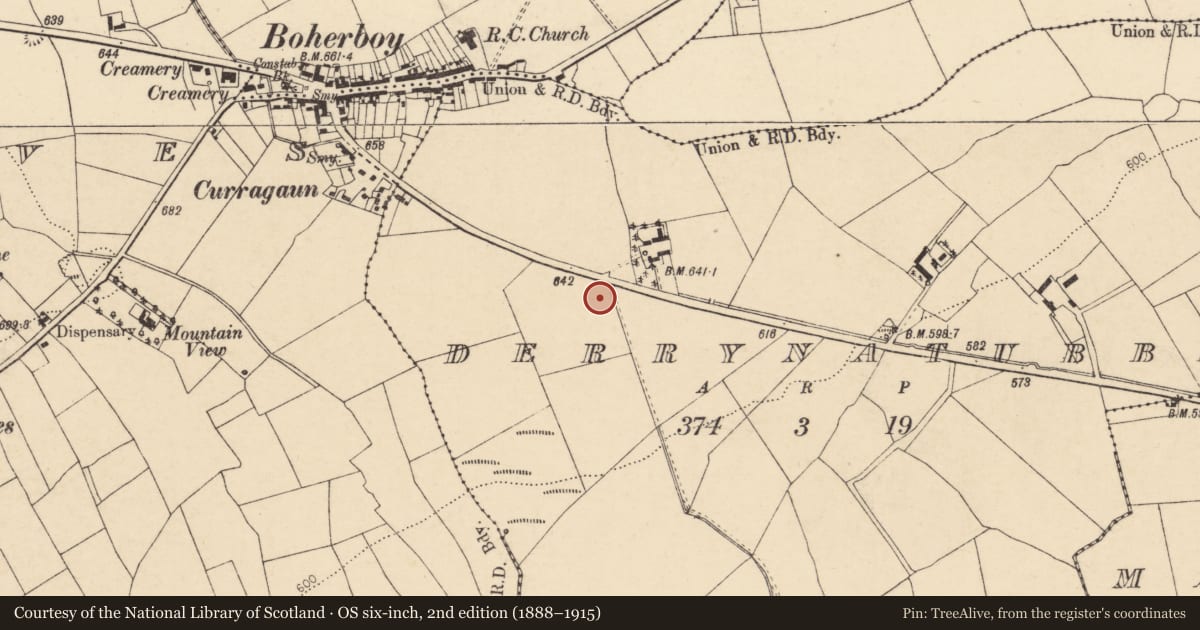 Ordnance Survey six-inch map, 2nd edition (1888–1915) covering the location of Fulacht fia, Derrynatubbrid, County Cork, with a pin at the register's coordinates