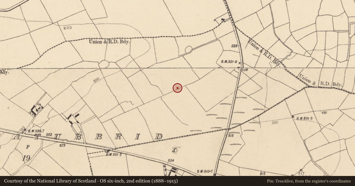 Ordnance Survey six-inch map, 2nd edition (1888–1915) covering the location of Fulacht fia, Derrynatubbrid, County Cork, with a pin at the register's coordinates