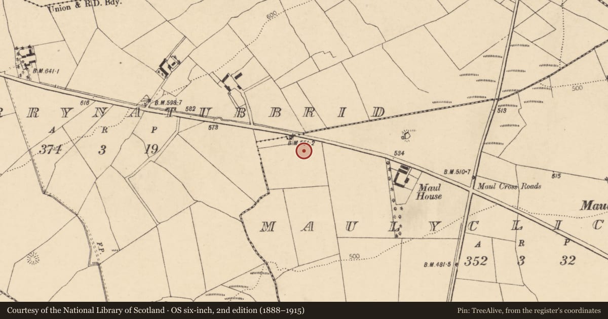 Ordnance Survey six-inch map, 2nd edition (1888–1915) covering the location of Fulacht fia, Maulyclickeen, County Cork, with a pin at the register's coordinates