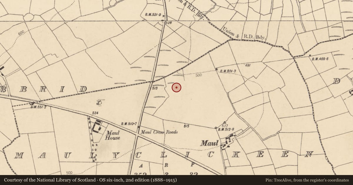 Ordnance Survey six-inch map, 2nd edition (1888–1915) covering the location of Souterrain, Maulyclickeen, County Cork, with a pin at the register's coordinates