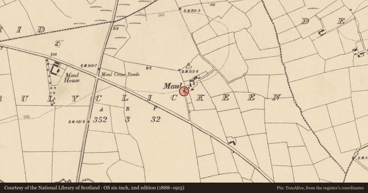 Ordnance Survey six-inch map, 2nd edition (1888–1915) covering the location of Souterrain, Maulyclickeen, County Cork, with a pin at the register's coordinates