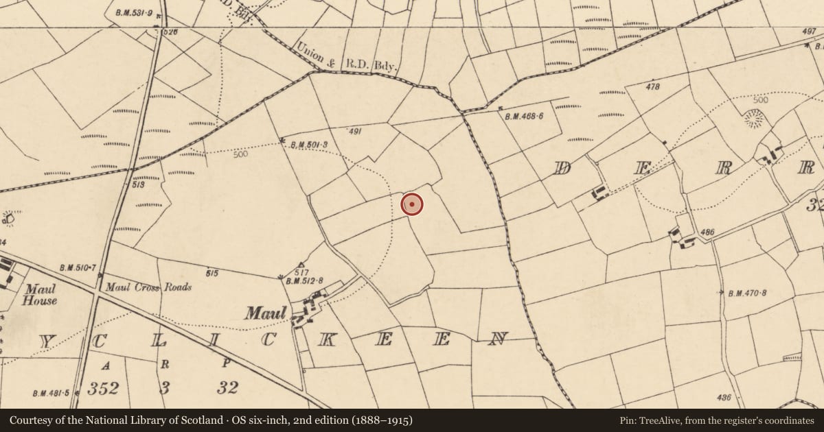 Ordnance Survey six-inch map, 2nd edition (1888–1915) covering the location of Enclosure, Maulyclickeen, County Cork, with a pin at the register's coordinates