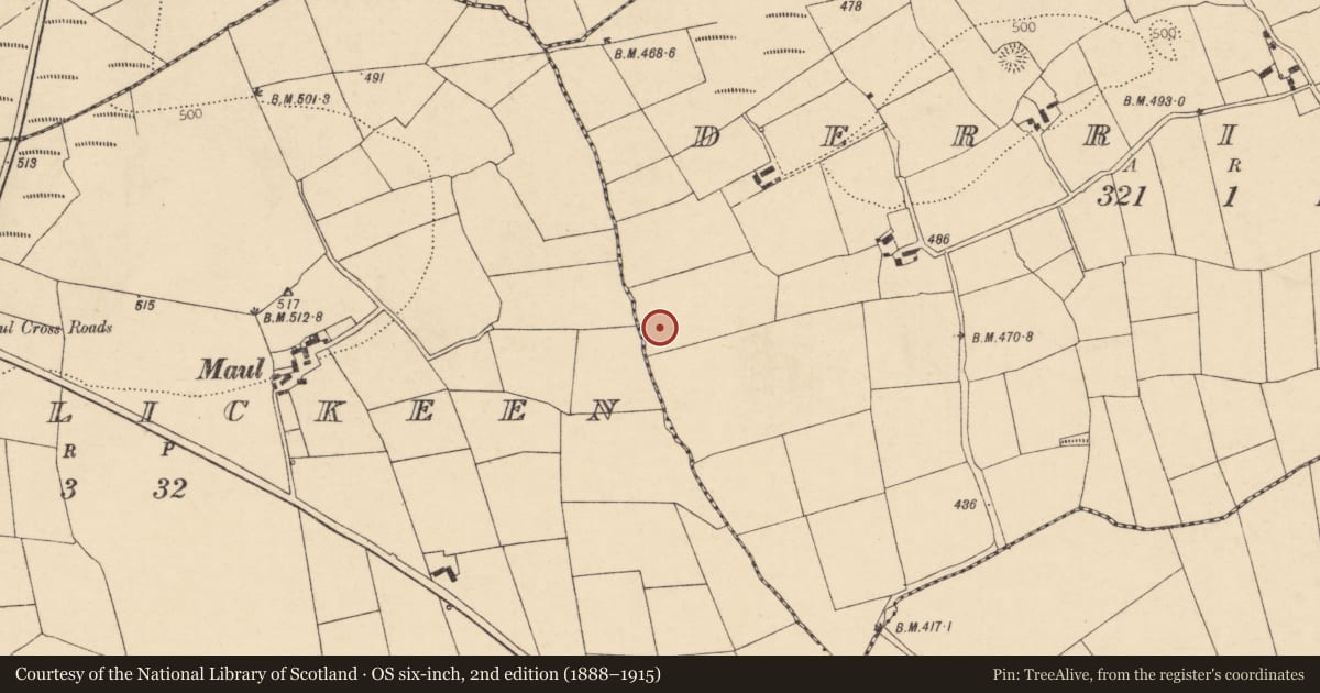 Ordnance Survey six-inch map, 2nd edition (1888–1915) covering the location of Fulacht fia, Derrishal, County Cork, with a pin at the register's coordinates
