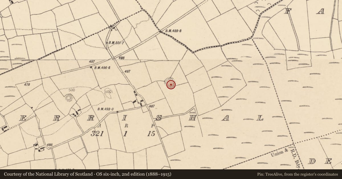Ordnance Survey six-inch map, 2nd edition (1888–1915) covering the location of Ringfort - rath, Derrishal, County Cork, with a pin at the register's coordinates