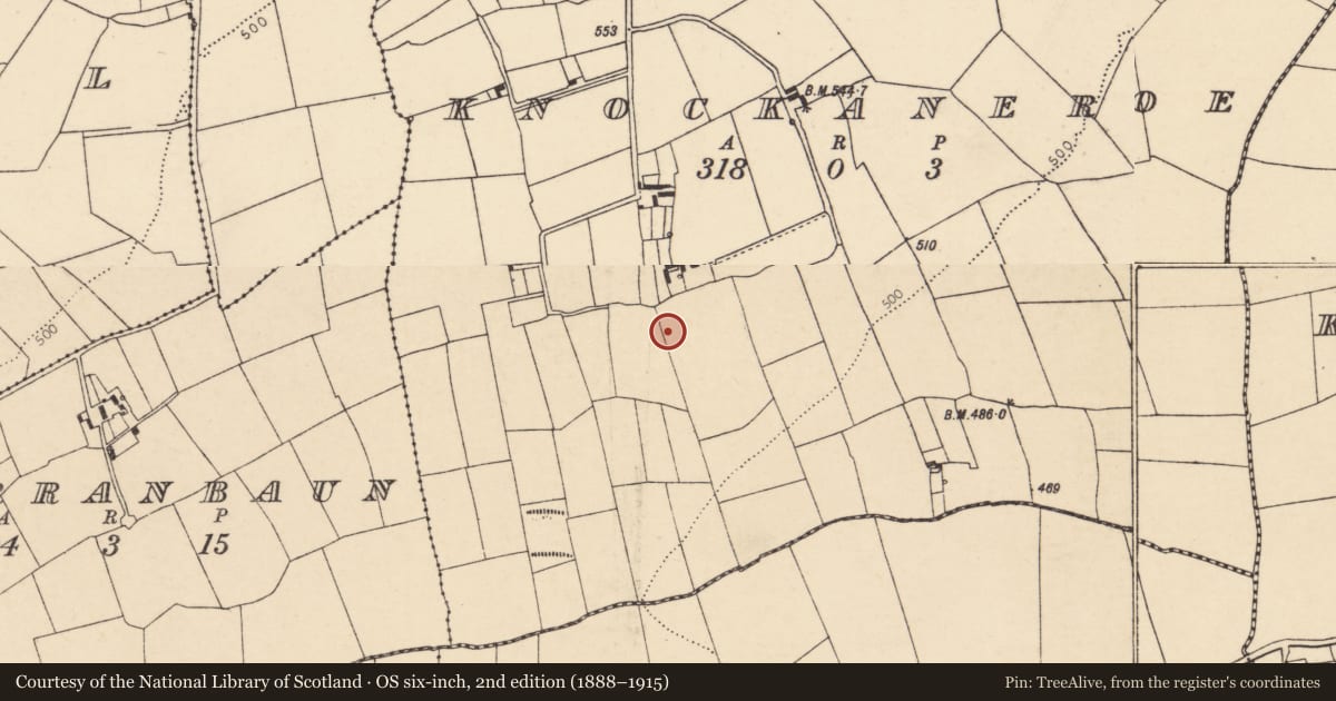 Ordnance Survey six-inch map, 2nd edition (1888–1915) covering the location of Fulacht fia, Knockaneroe, County Cork, with a pin at the register's coordinates