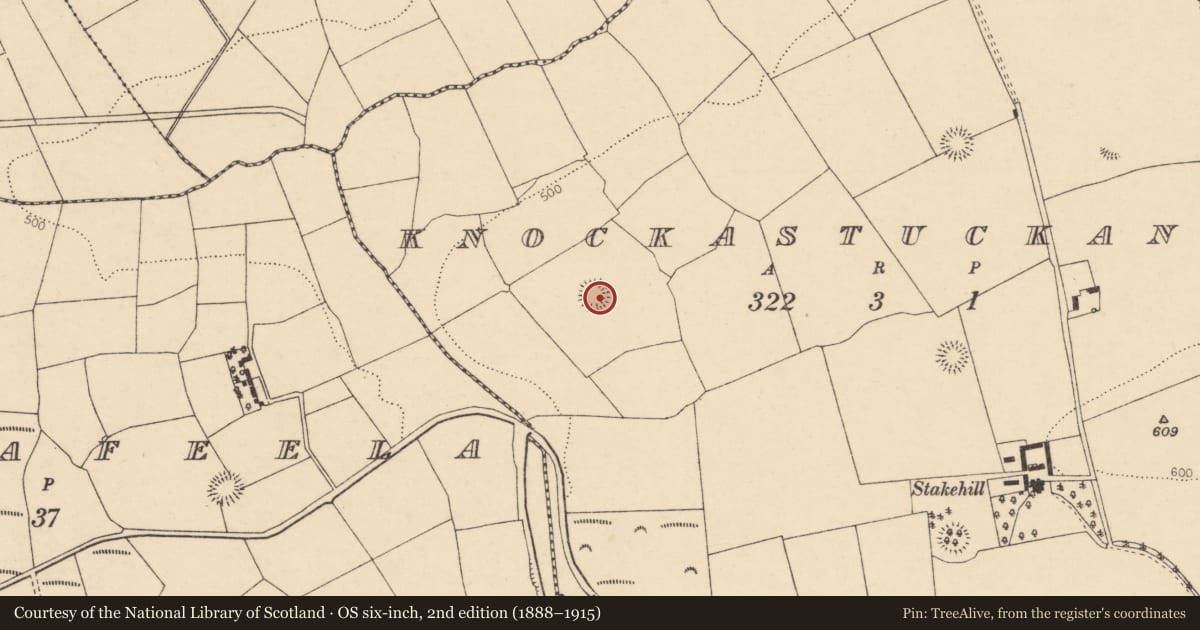 Ordnance Survey six-inch map, 2nd edition (1888–1915) covering the location of Ringfort - rath, Knockastuckane, County Cork, with a pin at the register's coordinates