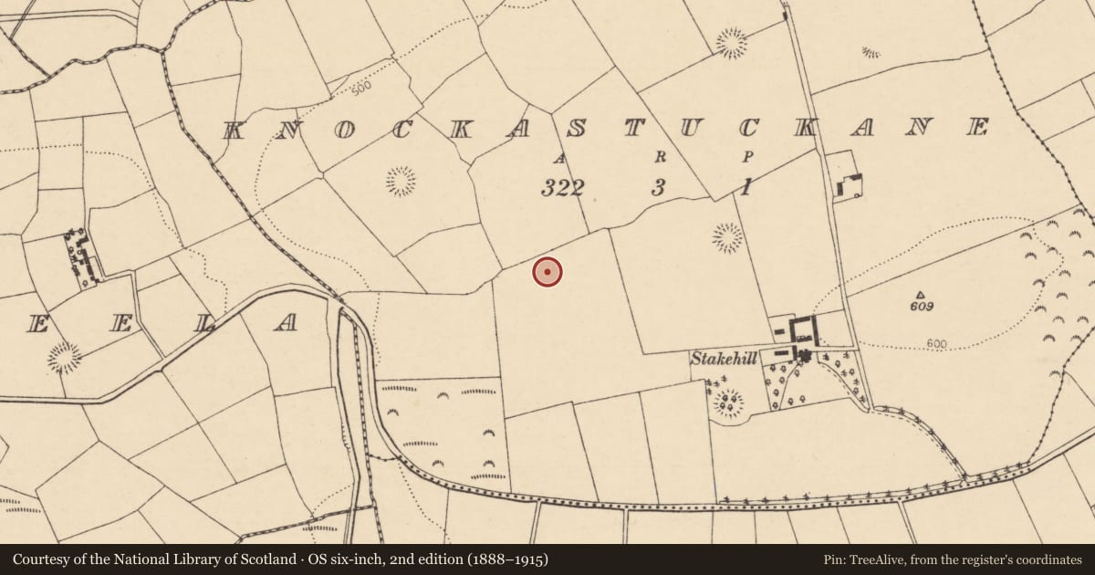 Ordnance Survey six-inch map, 2nd edition (1888–1915) covering the location of Fulacht fia, Knockastuckane, County Cork, with a pin at the register's coordinates